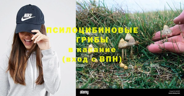каннабис Каменногорск