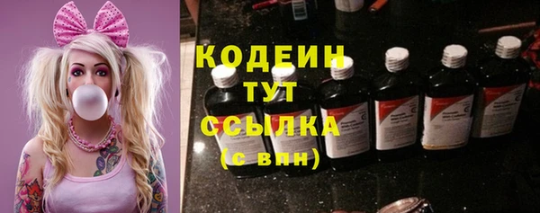 ПСИЛОЦИБИНОВЫЕ ГРИБЫ Каменка
