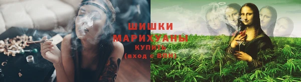 ПСИЛОЦИБИНОВЫЕ ГРИБЫ Каменка