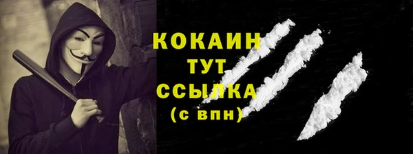 ПСИЛОЦИБИНОВЫЕ ГРИБЫ Каменка