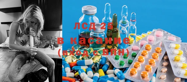 ПСИЛОЦИБИНОВЫЕ ГРИБЫ Каменка