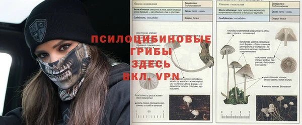 ПСИЛОЦИБИНОВЫЕ ГРИБЫ Каменка