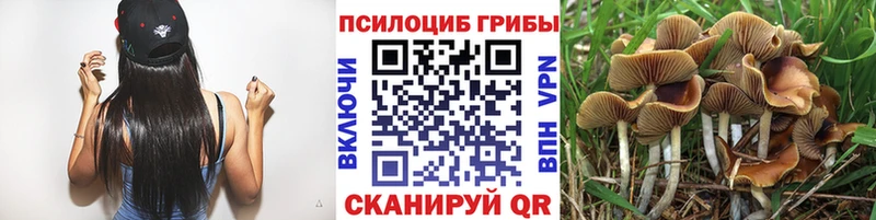 Купить закладки  Касимов  Галлюциногенные грибы Psilocybine cubensis 